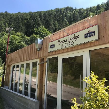 Baeralodge Barenthal エクステリア 写真